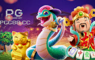 595cc开元官网版免费版