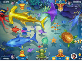 595cc开元官网版2024最新版