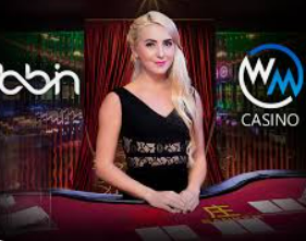 595cc开元官网版最新版