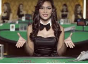 595cc开元官网版2024最新版